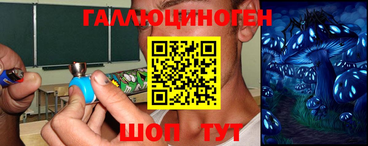 Псилоцибиновые грибы Psilocybine cubensis  Вход с VPN  где можно купить   Калач-на-Дону  Псилоцибиновые грибы Cubensis 