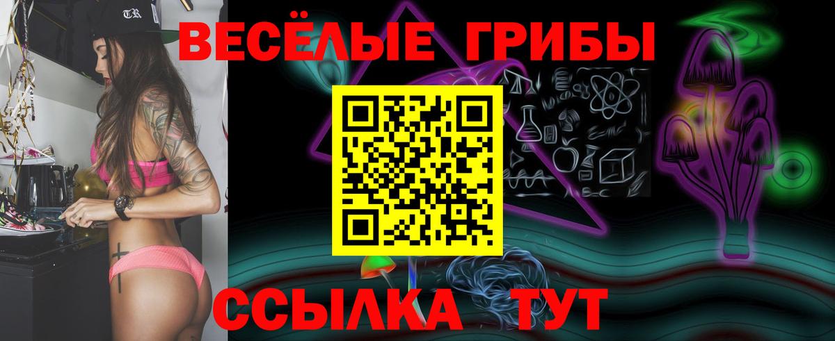 Галлюциногенные грибы GOLDEN TEACHER Калач-на-Дону